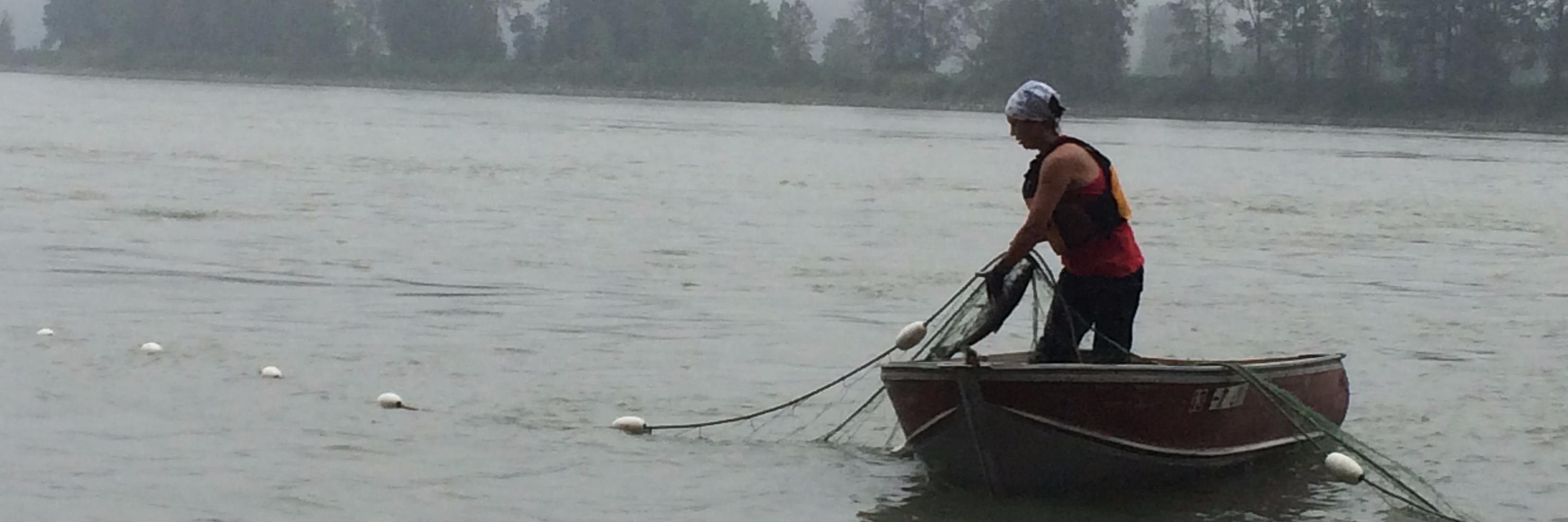 Carrielynn Victor banner