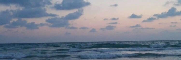 _______Lolij's profile banner image