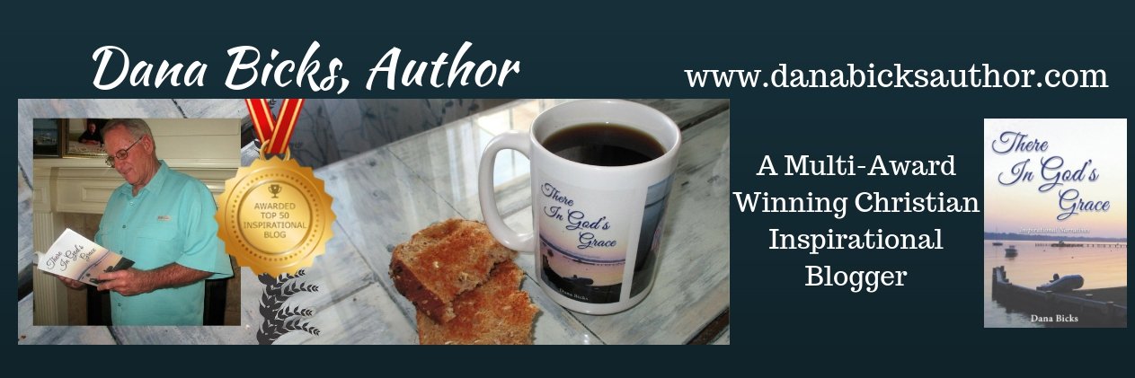 danabicksauthor's profile banner image