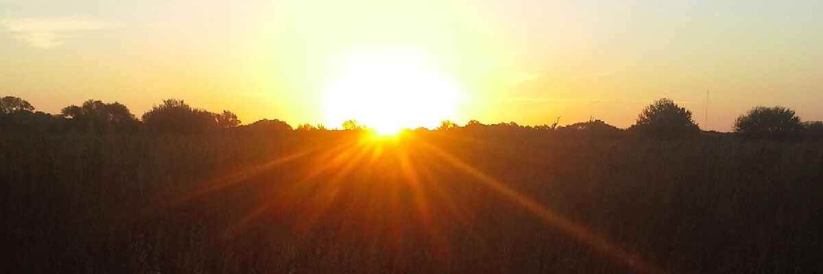 minahan15's profile banner image