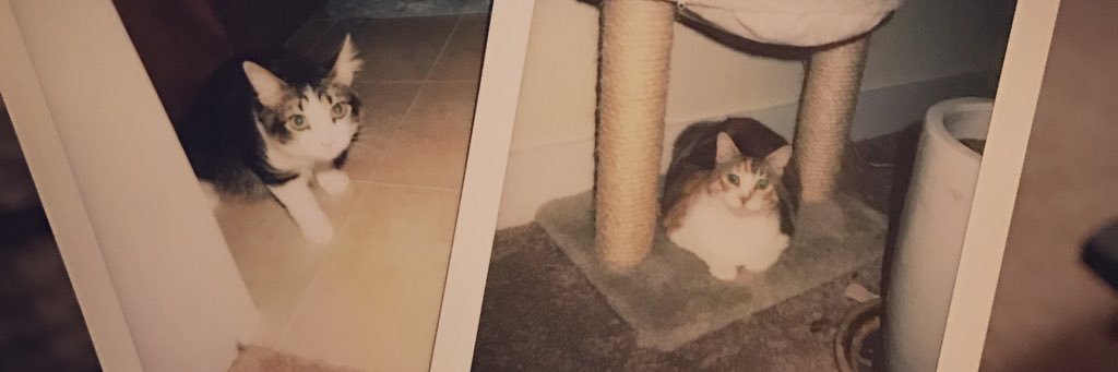 kristifran's profile banner image