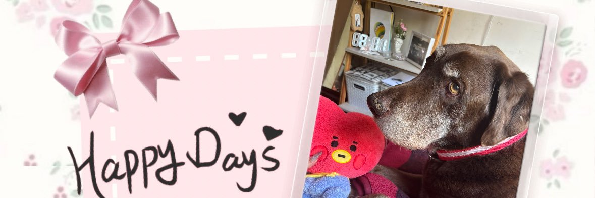 ♡ 신디☆ banner