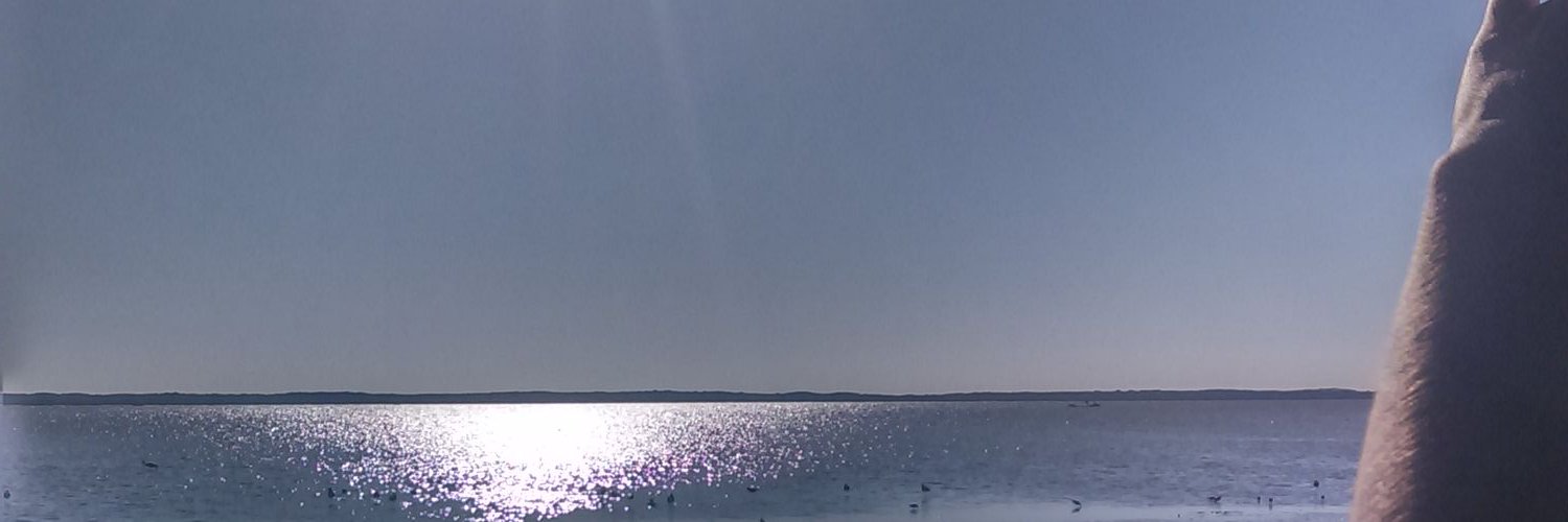 EdLnh's profile banner image