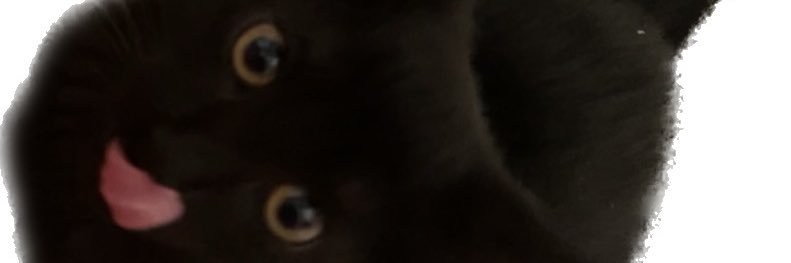 Nick Hoover banner