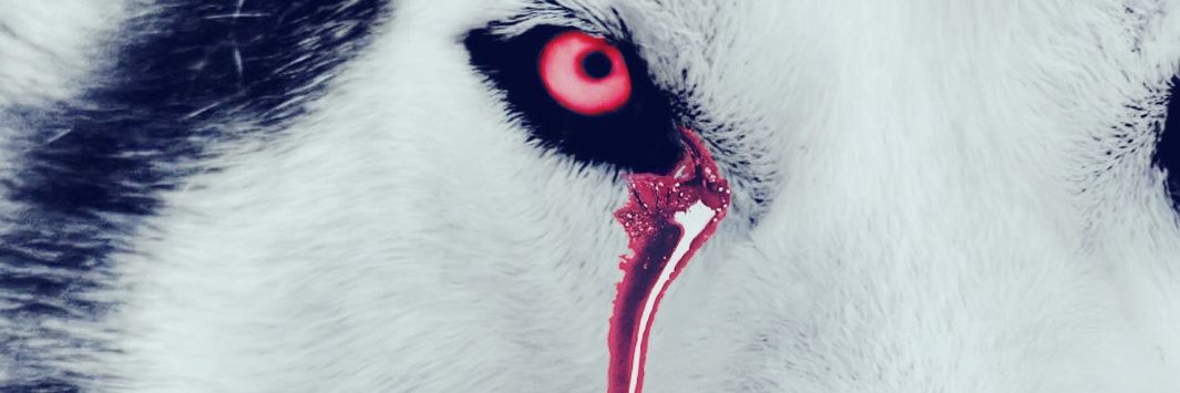 BlacDK's profile banner image