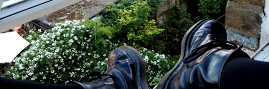 williamgdrx's profile banner image