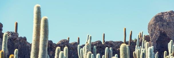 jasonwindam's profile banner image