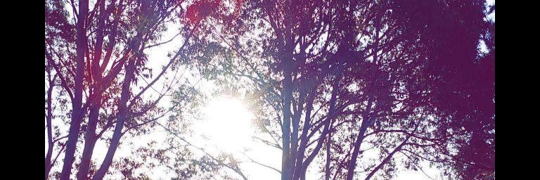 brhkoroit's profile banner image