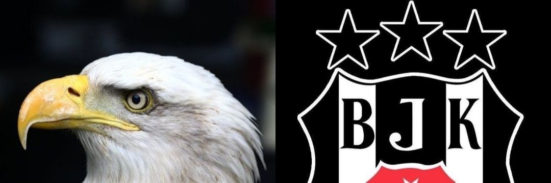 a_efe_75's profile banner image