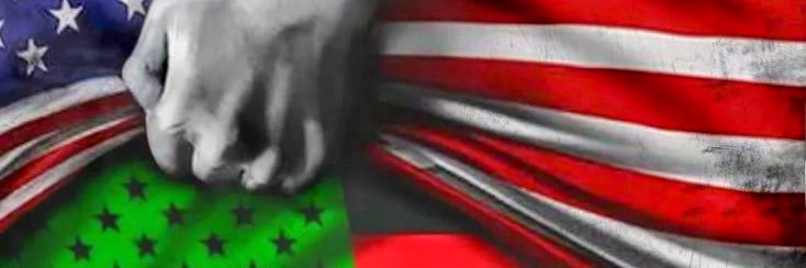 Mr.Williamson banner