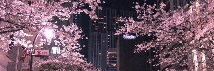 Artsbyabigaill🌺 banner