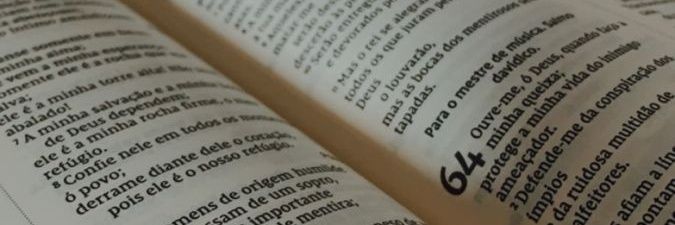 Marli 🇧🇷 banner