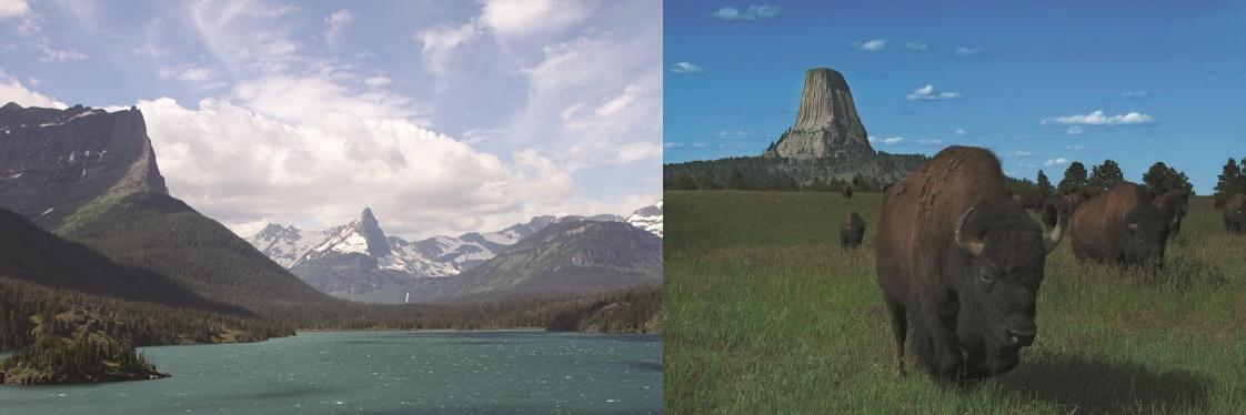 RealAmericaChat's profile banner image