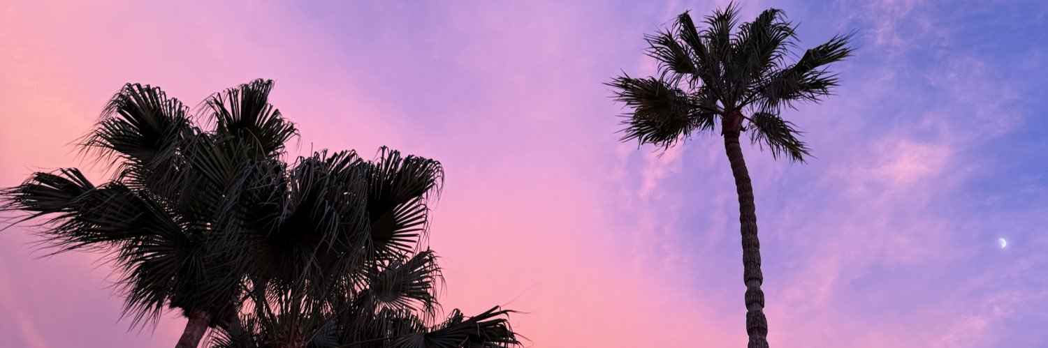 arelymirandaa_'s profile banner image