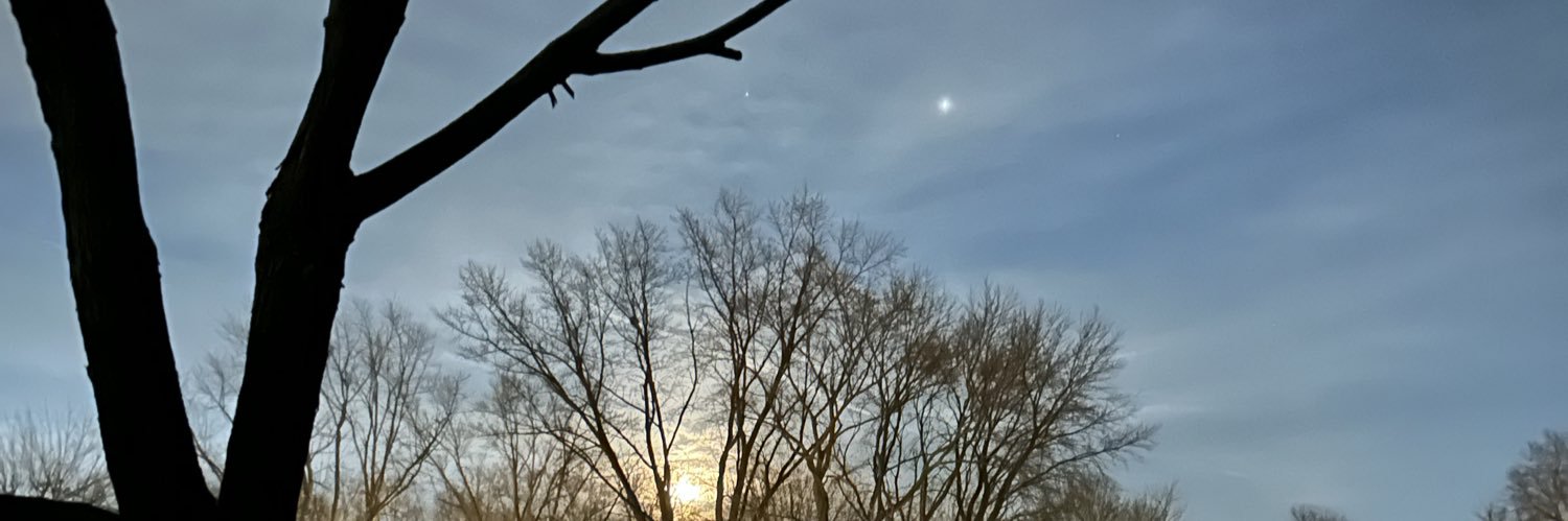 cognitiverules's profile banner image