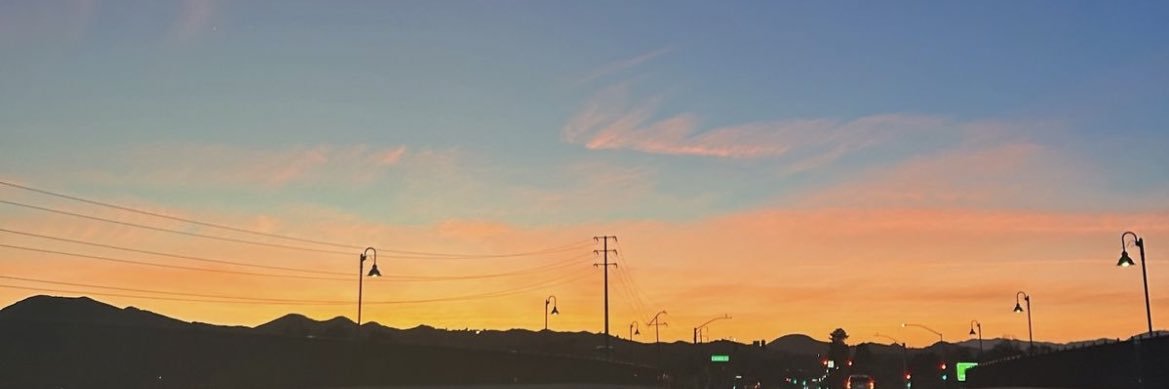 landynl3's profile banner image