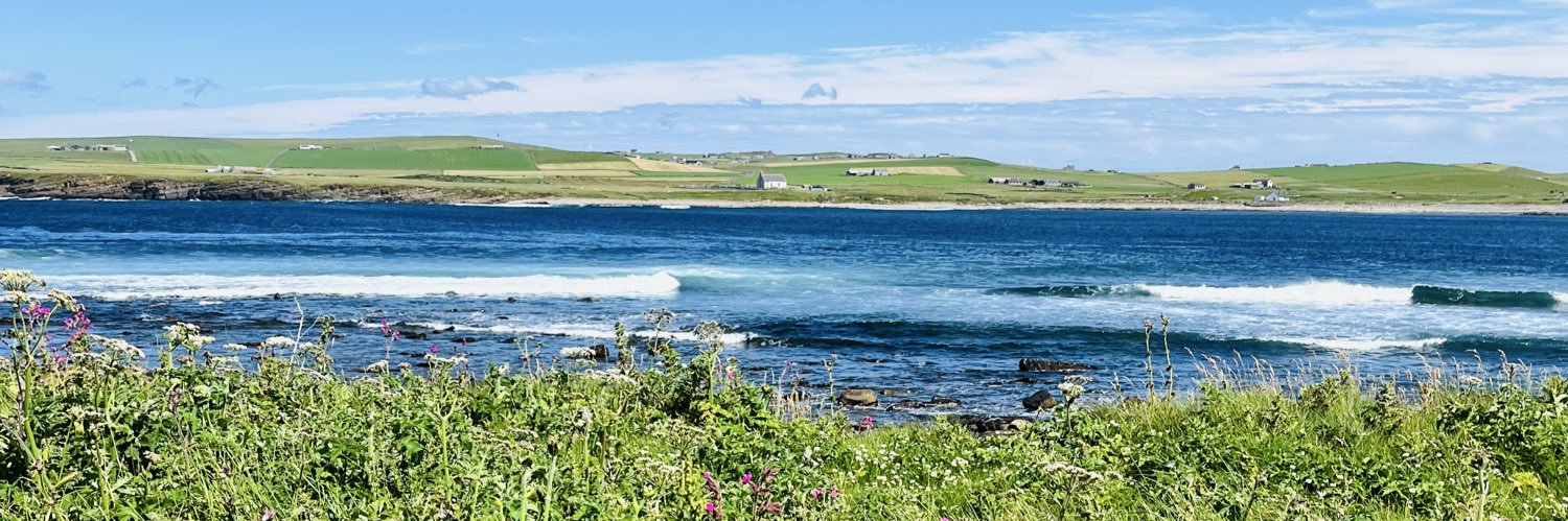 Connor LaRocca banner