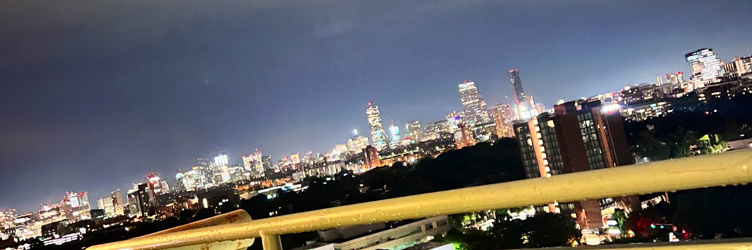 Scheerbriliance's profile banner image