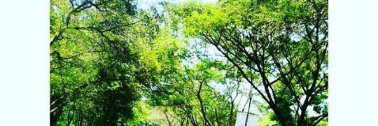 Fanisa_Lbs's profile banner image