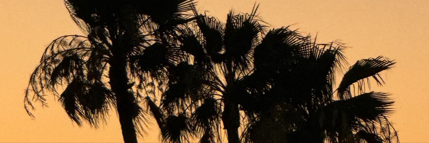 Dripenstein's profile banner image