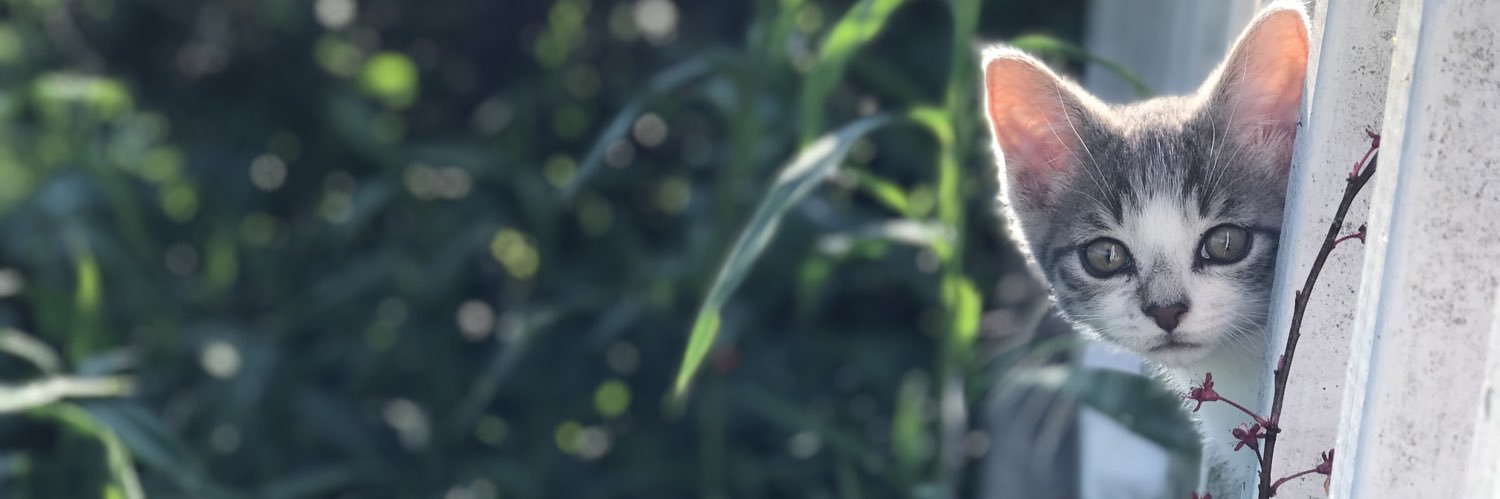 emilym524's profile banner image