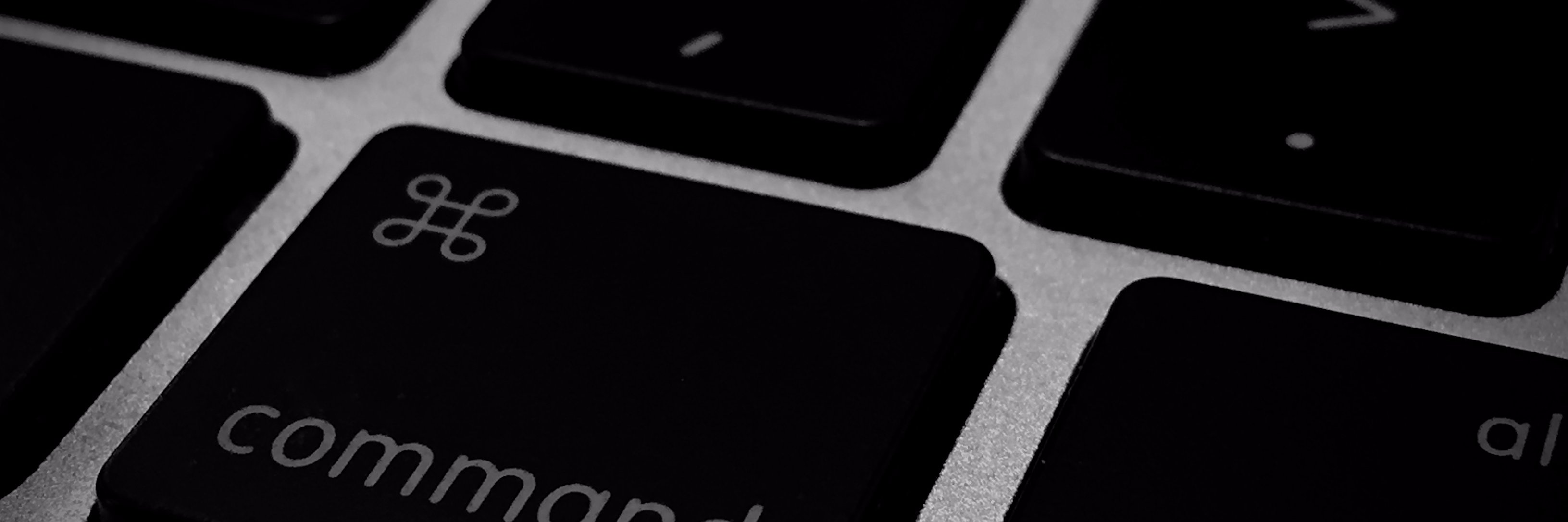 ale_jacques's profile banner image