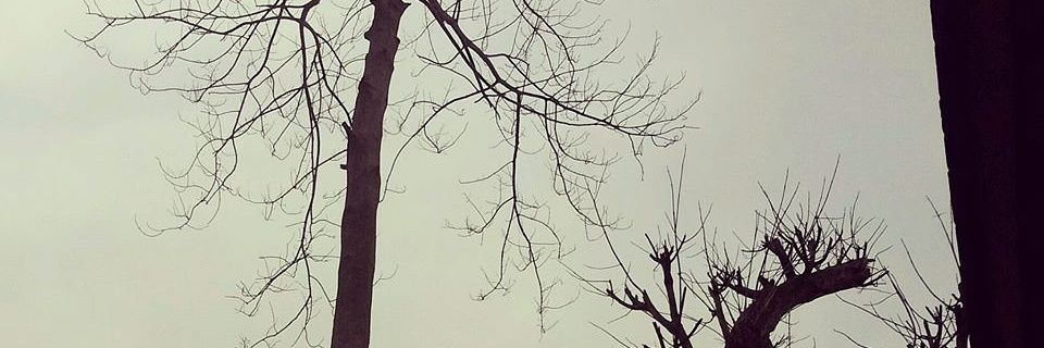 Haninurhanifah banner