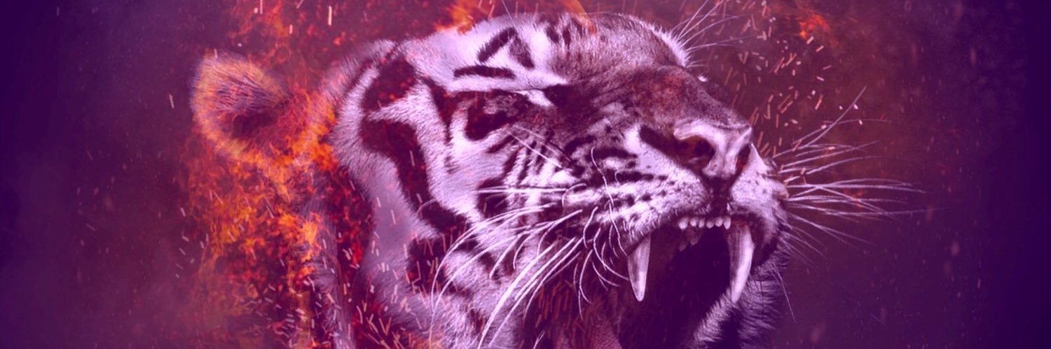 SwagOfficial26's profile banner image