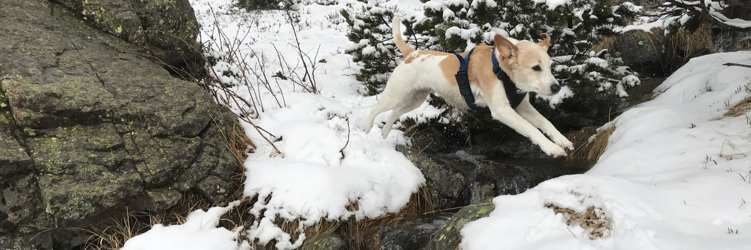 Miguel Angel Garrosa banner