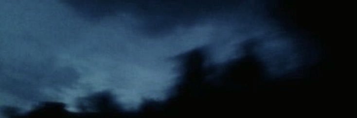W4NDABUCK's profile banner image