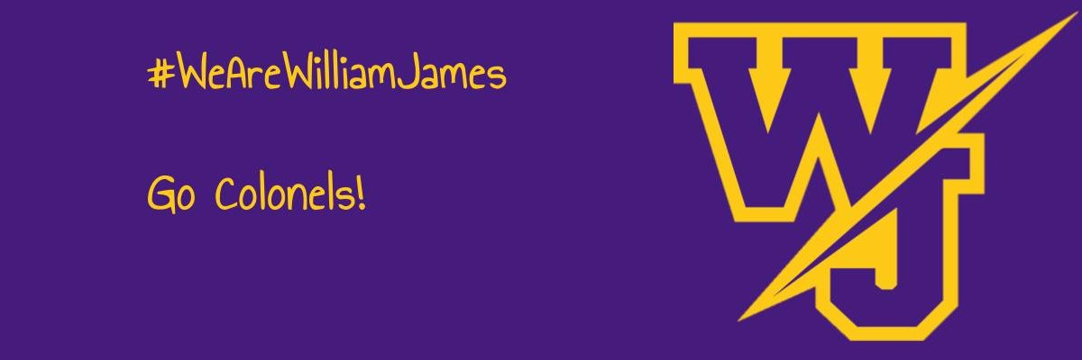 WilliamJamesMS banner