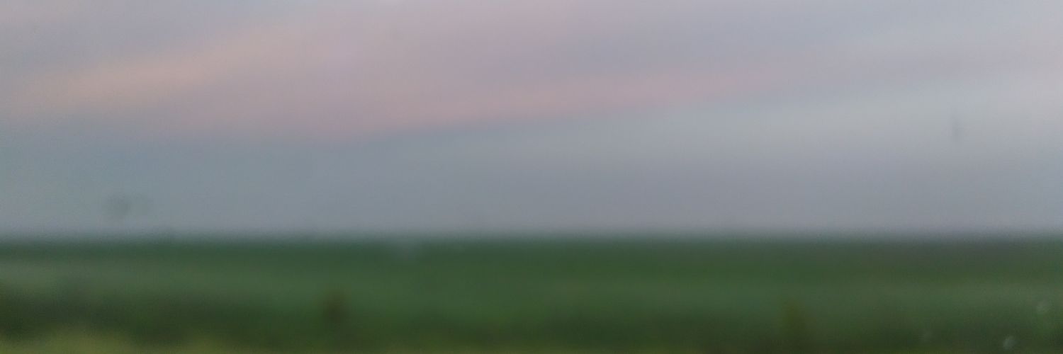 petterbrian1's profile banner image