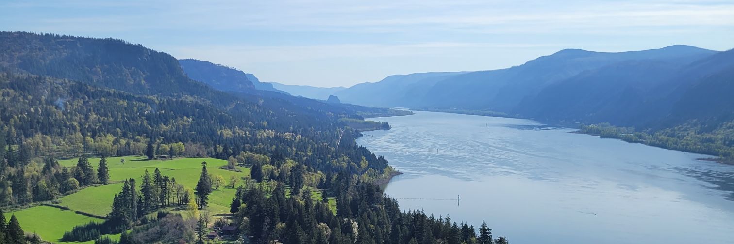 Treena Jensen banner