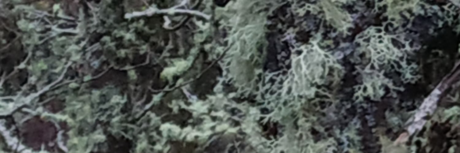 xmalban's profile banner image