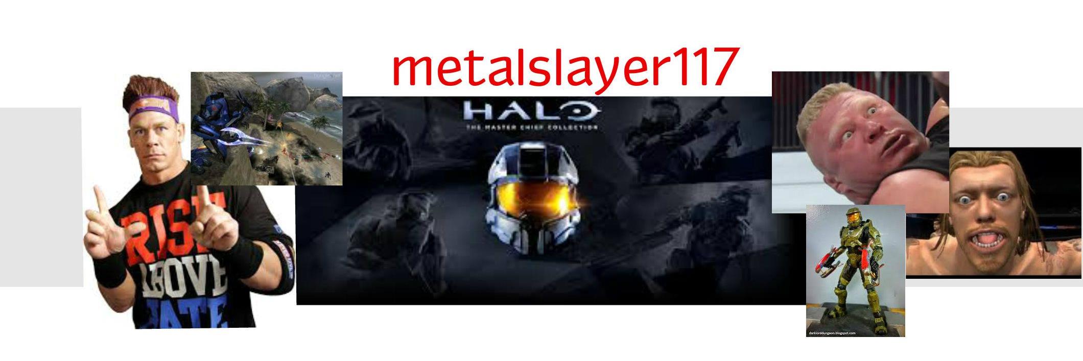 metalslayer117's profile banner image