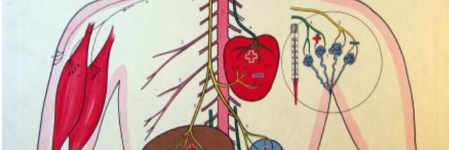 MartinMyhren's profile banner image
