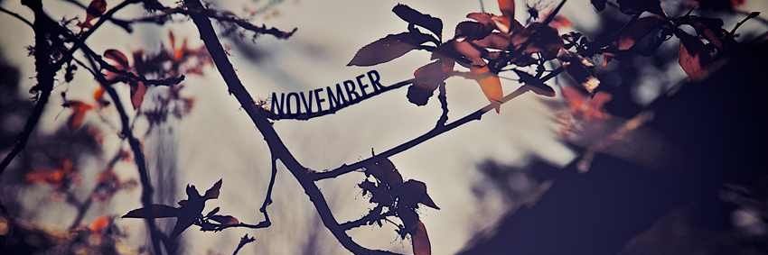 November_Next's profile banner image