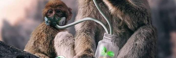PKSINGHADIA's profile banner image