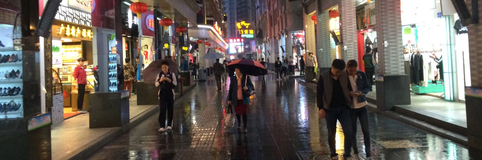 Daniel Caproni banner