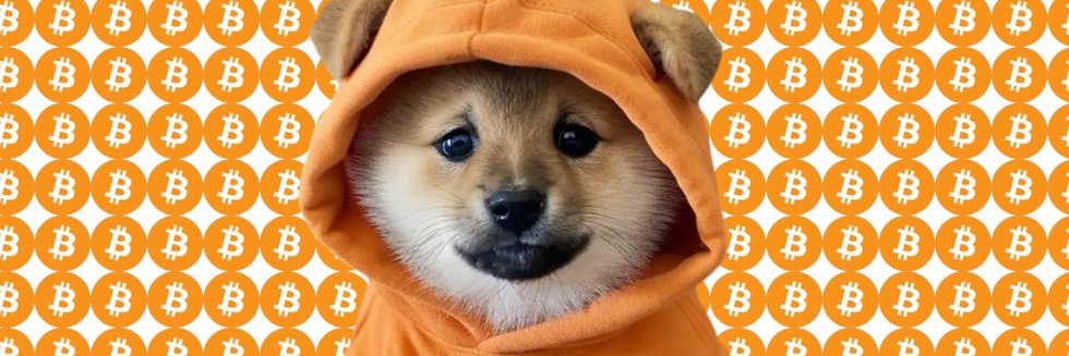 DannyDC_DanDan's profile banner image