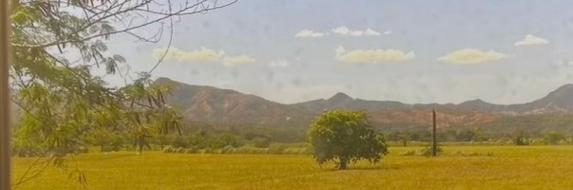 TripleThaCheese's profile banner image