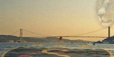 lys3316's profile banner image
