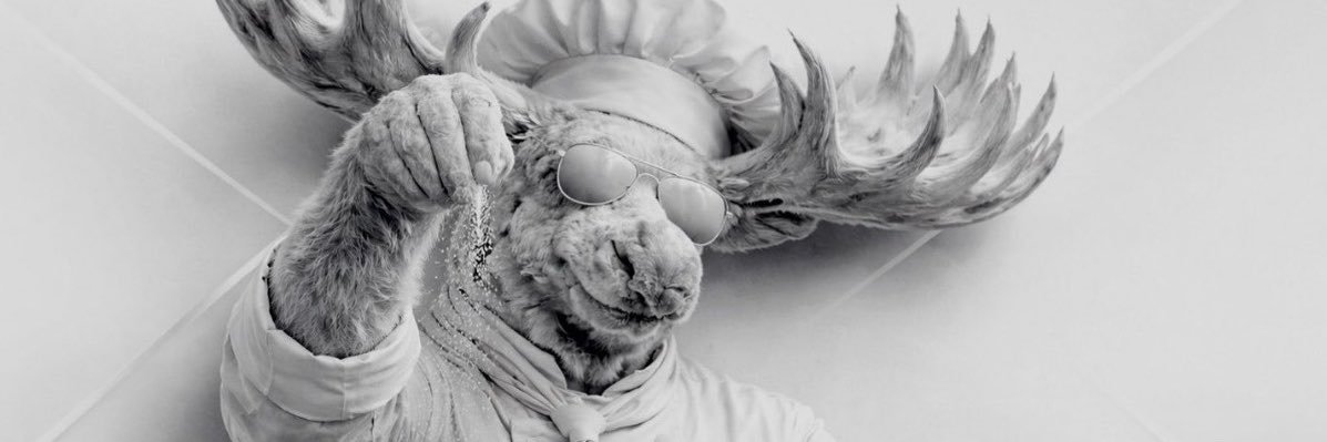 Brownimoose's profile banner image