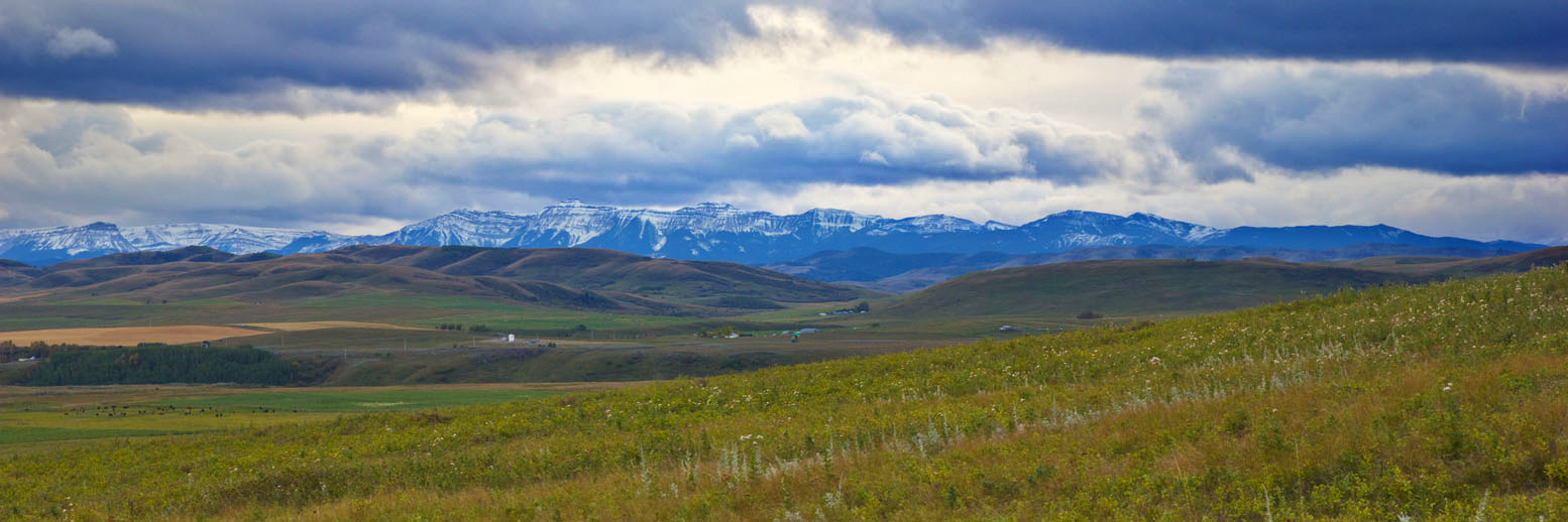 Work_in_Alberta's profile banner image