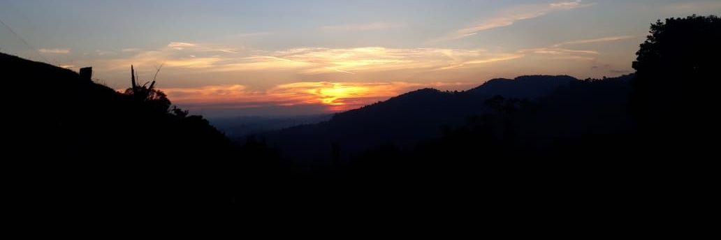 Alexandre Vianna banner