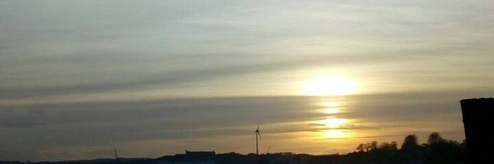 avamaymccarthy's profile banner image