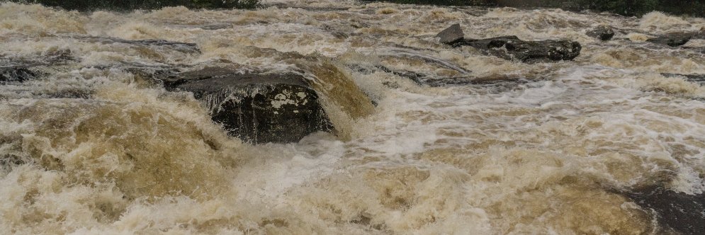 Jane Toothill banner