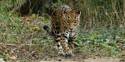 ILIE__13's profile banner image
