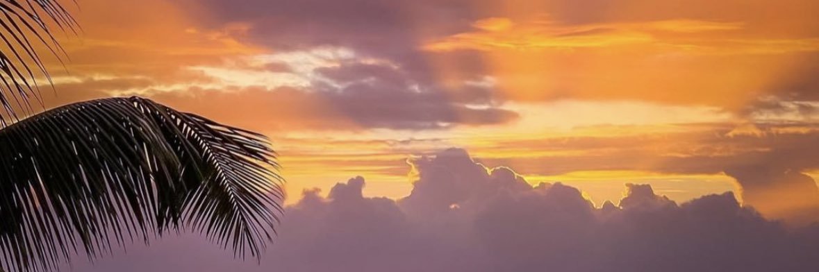lavanilaa's profile banner image