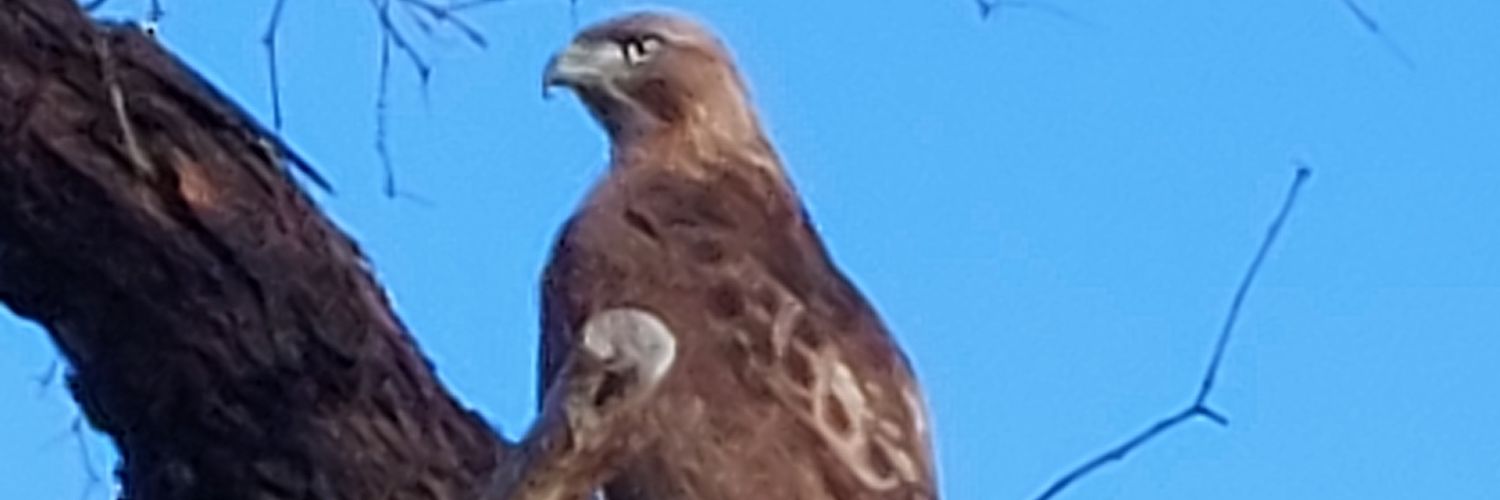 Kmeter77's profile banner image